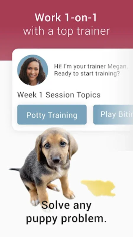 GoodPup: Android Dog Training with Video Chats