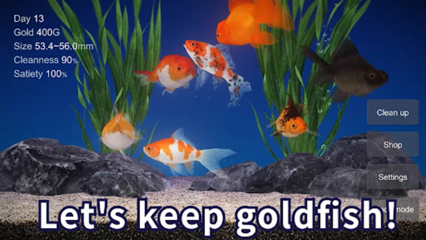 Goldfish 3D Relaxing Aquarium for Android - Download the APK from AppHuts