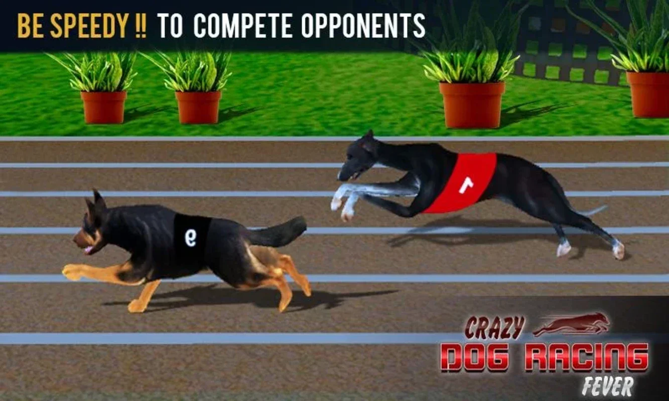 Crazy Dog Racing Fever for Android - Thrilling Races