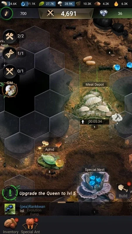 The Ants for Android: Manage Your Ant Colony Strategically