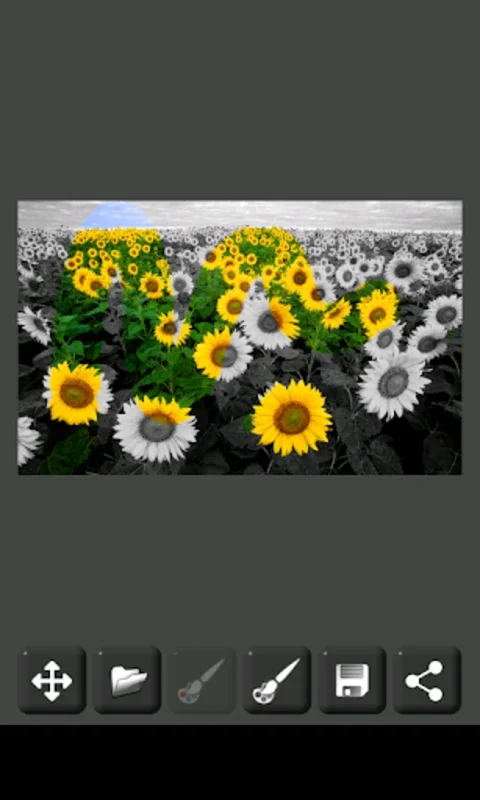 Image Decolorizer for Android: Transform Images