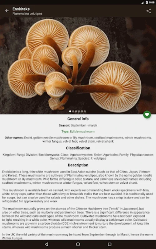 Book of mushrooms for Android - Comprehensive Mushroom Guide