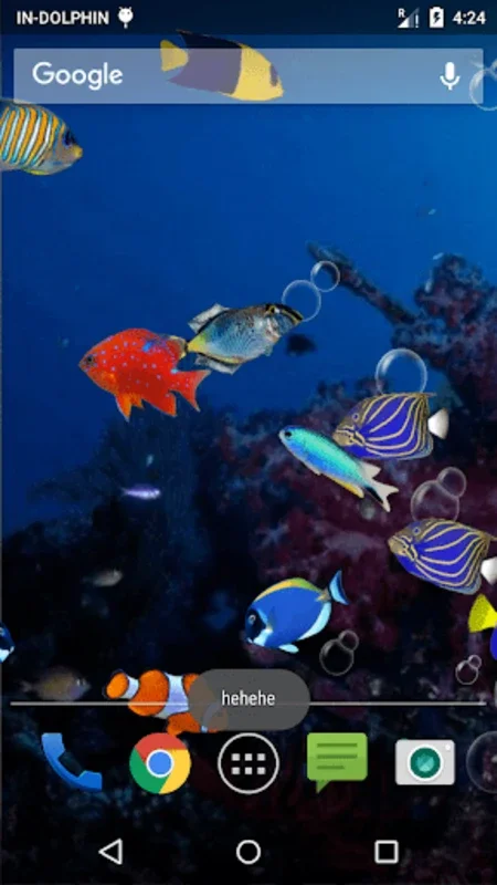 Fish Aquarium LWP for Android - Immersive Aquarium Experience