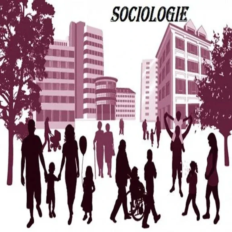 La sociologie for Android: Insights at Your Fingertips