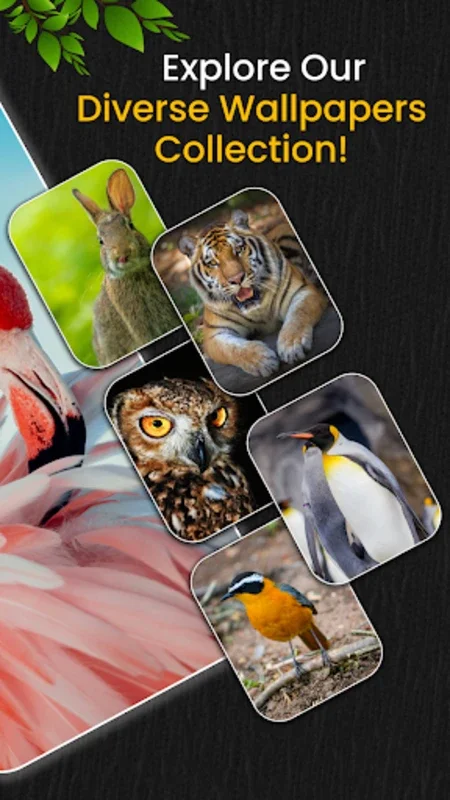 Animal Ringtones for Android: Immerse in Nature's Sounds