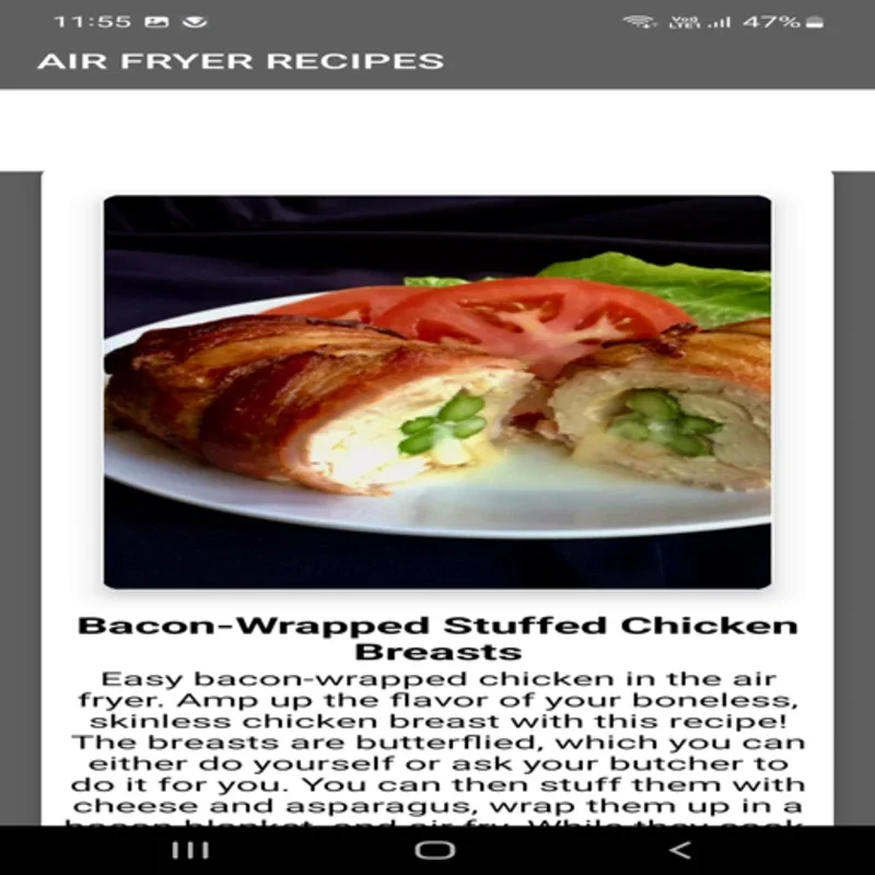 Air_Fryer_Recipes for Android: Diverse Recipes App