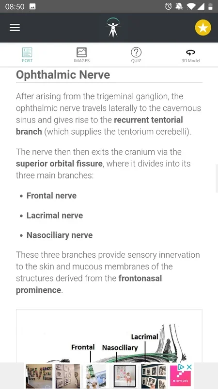 Teach Me Anatomy for Android - No Downloading Needed