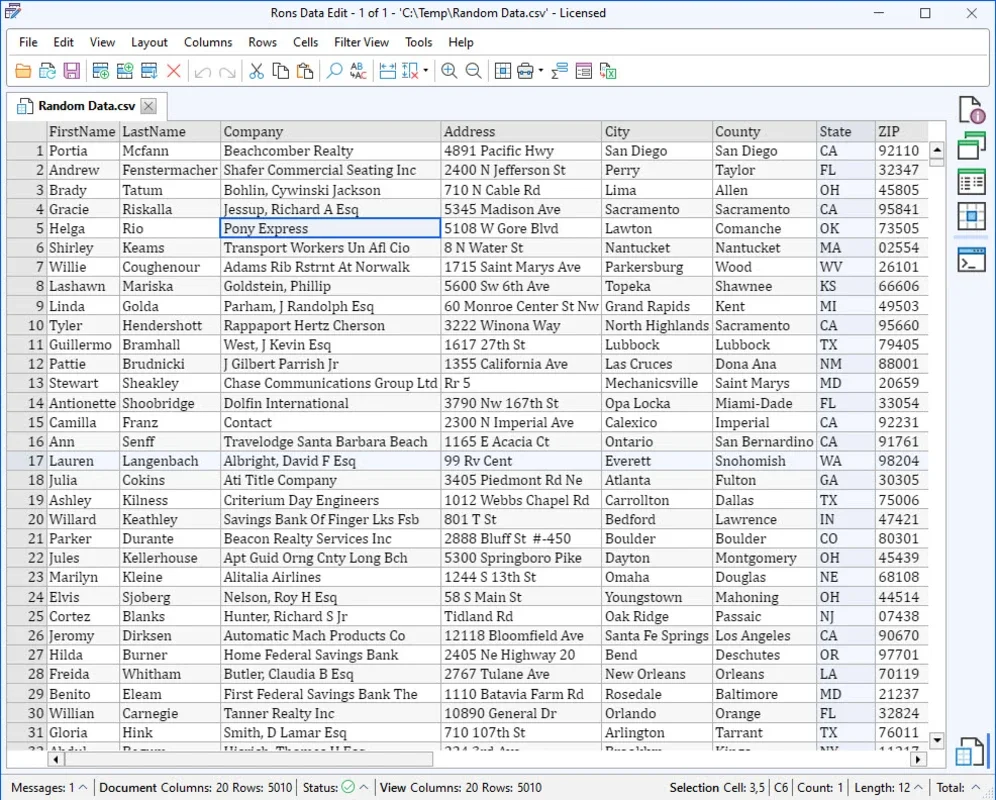 Rons Data Edit for Windows - Powerful Data Editing Tool