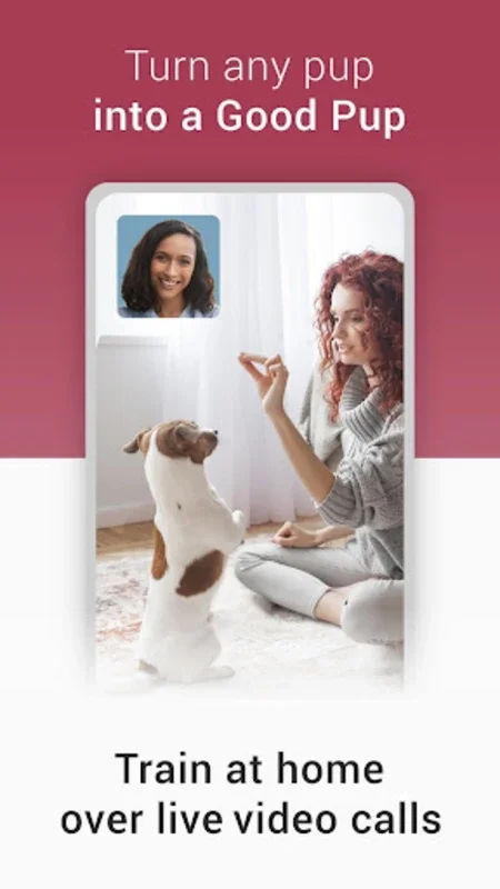 GoodPup: Android Dog Training with Video Chats