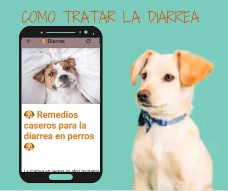 Remedios Caseros Para Perro for Android: Natural Remedies App