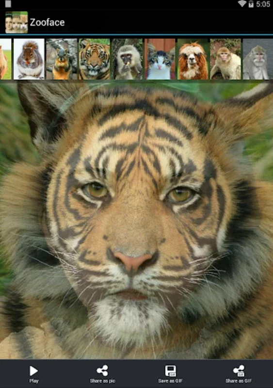 Zooface - GIF Animal Morph for Android - Download the APK Now