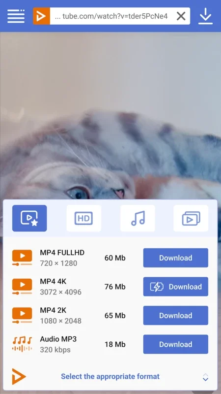 UDL App for Android: Save YouTube Content