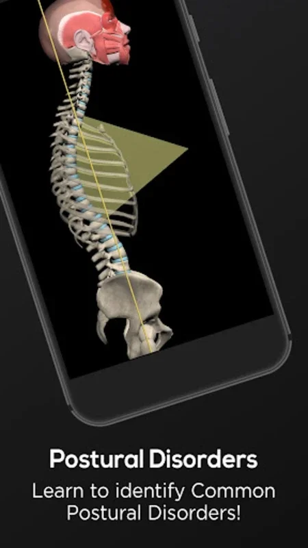 Posture by Muscle & Motion for Android: Professional Posture Education