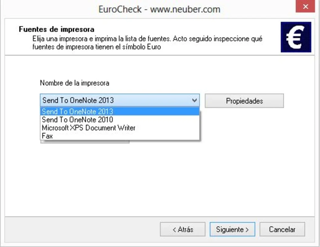 EuroCheck for Windows - Ensure Euro Symbol Visibility