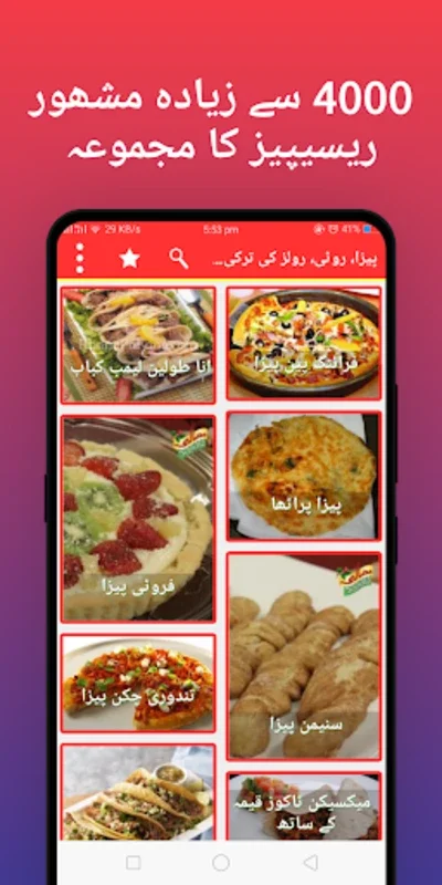 Pakistani Food Urdu Recipes for Android - Rich Culinary Experience