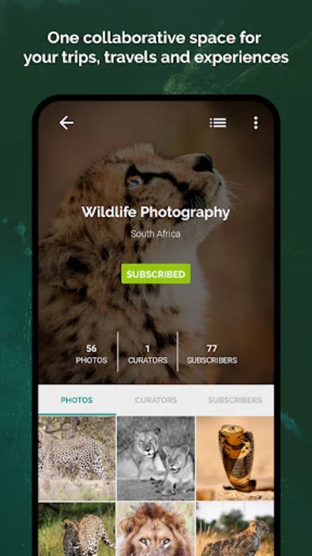 Plates - Photography Community for Android - Share Memories