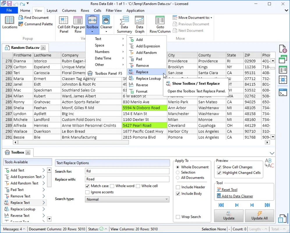 Rons Data Edit for Windows - Powerful Data Editing Tool