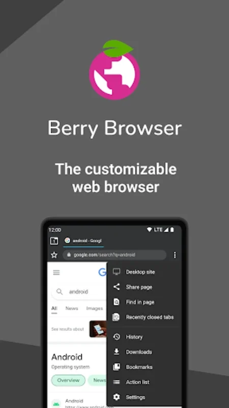 Berry Browser for Android - Customize and Browse Securely