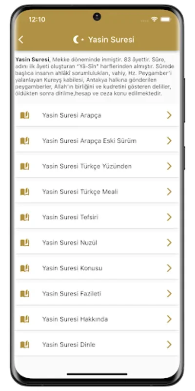 Yasin Suresi for Android - Access Surah Yasin Anytime