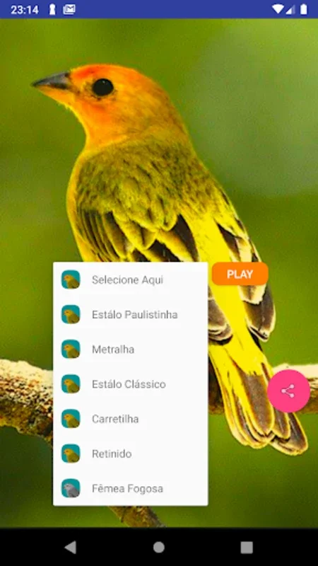 Canário Verdadeiro for Android - Immerse in Earth Canary Songs