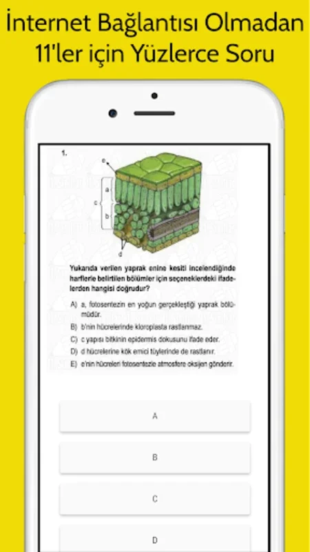 11. Sınıf Tüm Ders İnternetsiz for Android - Comprehensive Test Prep