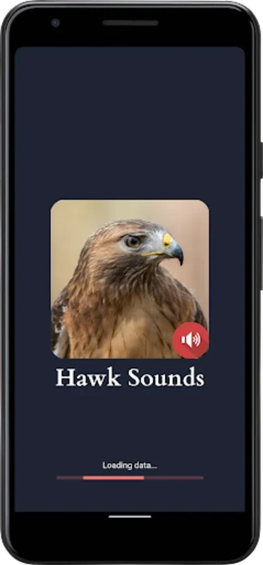 Hawk Sounds for Android - Immerse in Realistic Calls