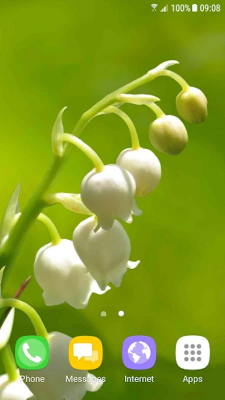 Lily of The Valley Wallpaper for Android - Stunning 3D Experience