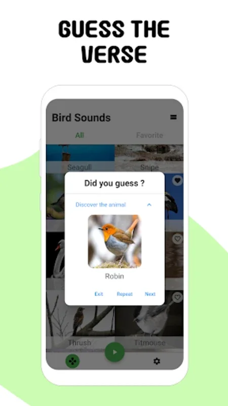 Bird Sounds for Android: Immerse in HD Bird Calls