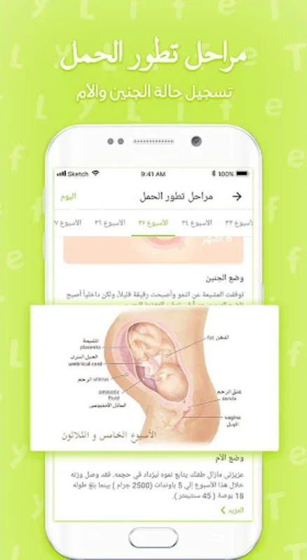 طفلي لايف for Android - Track Your Pregnancy