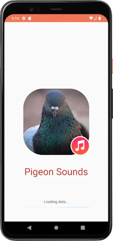 Pigeon Sounds for Android - Calming Auditory Delight