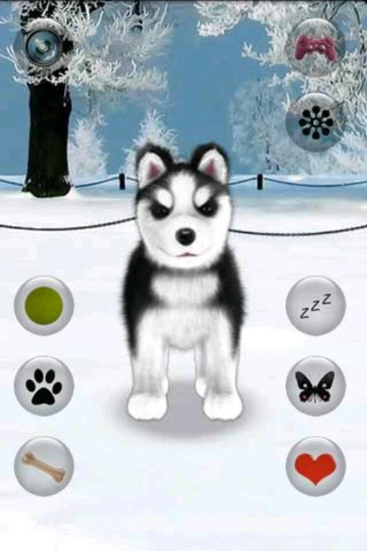 Talking Husky for Android - Fun Interactions Await