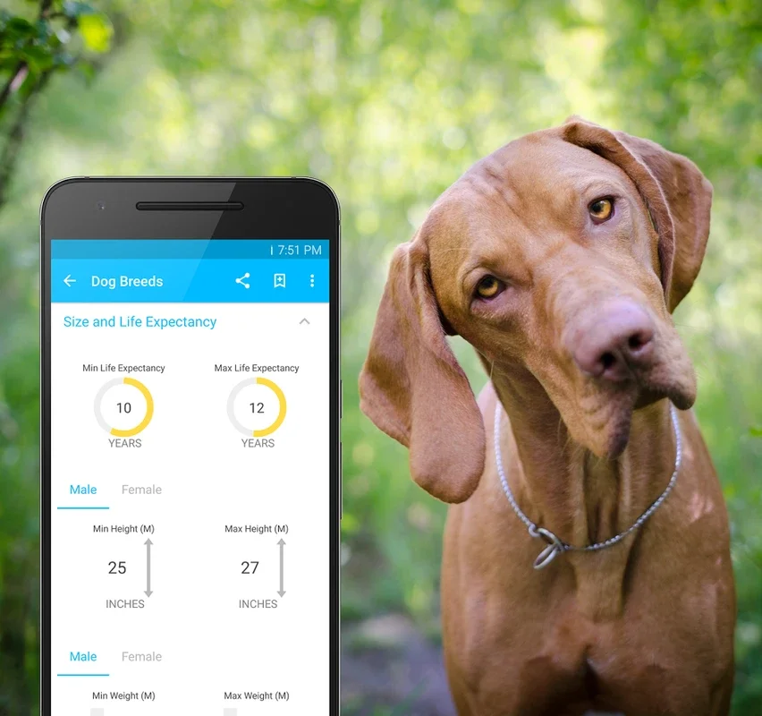 Pet Breeds for Android: Explore Various Breeds