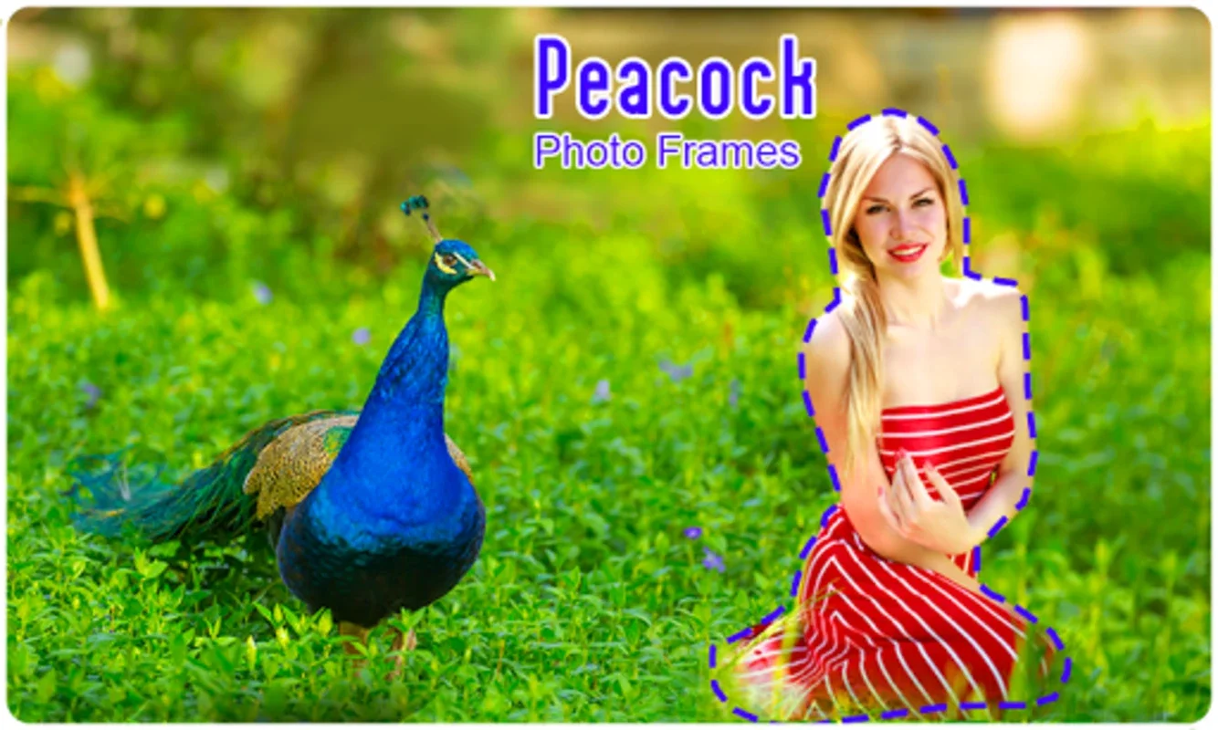 Peacock Photo Frames for Android - Free and Easy to Use