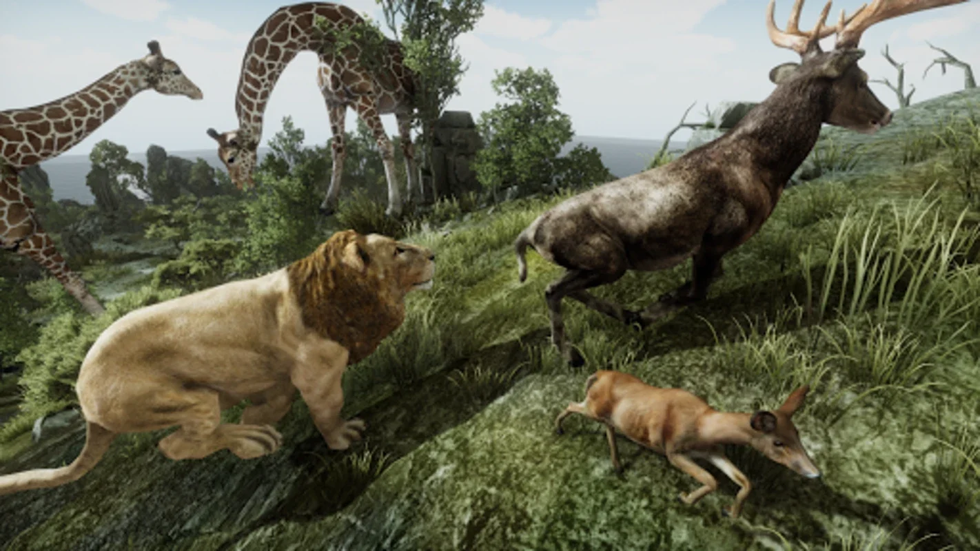 Ultimate Lion Simulator for Android: Immersive Wild Experience