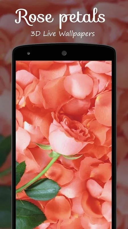 Rose Petals 3D Live Wallpapers Free for Android - Enhance Your Device