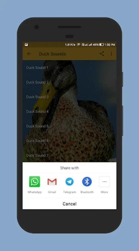 Duck Sounds for Android: Relax with Nature's Melodies