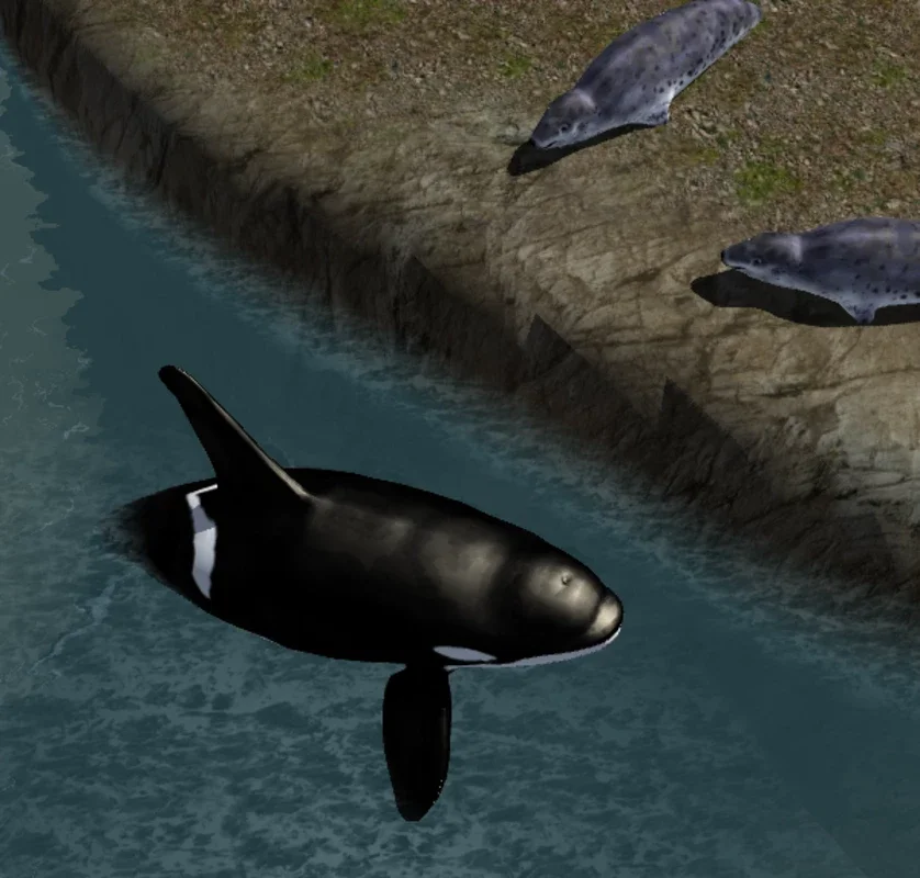 Orca Simulator for Android: Immersive Underwater Adventure