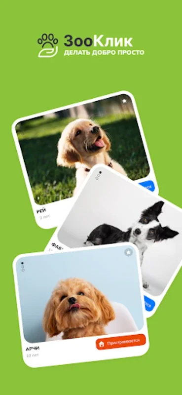 ЗооКлик for Android: The Ultimate Pet App