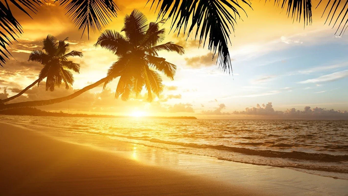 Beach Sunset Live Wallpaper for Android - Immerse in Serene Coastal Beauty