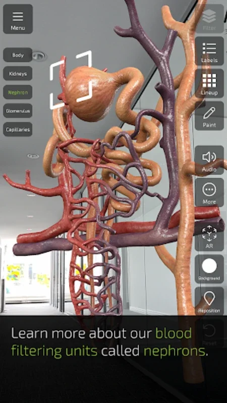 Insight Kidney for Android: Explore Kidney Anatomy with AR