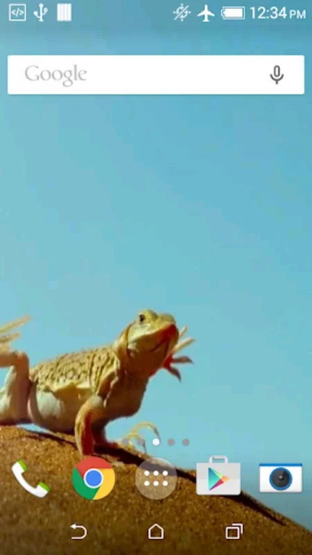 Funny Lizard Live Wallpaper for Android - Enhance Your Screen