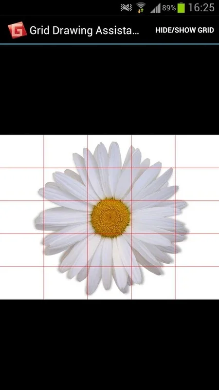 Grid Drawing Assistant for Android: Enhance Your Creativity