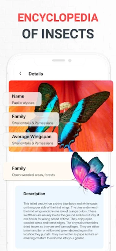 Insect Identifier for Android - Download the APK from AppHuts