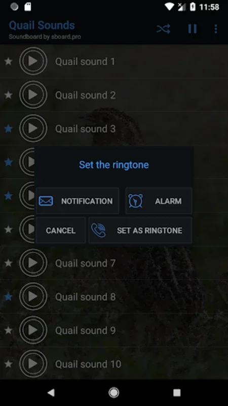 Quail Sounds for Android - High - Quality and Customizable