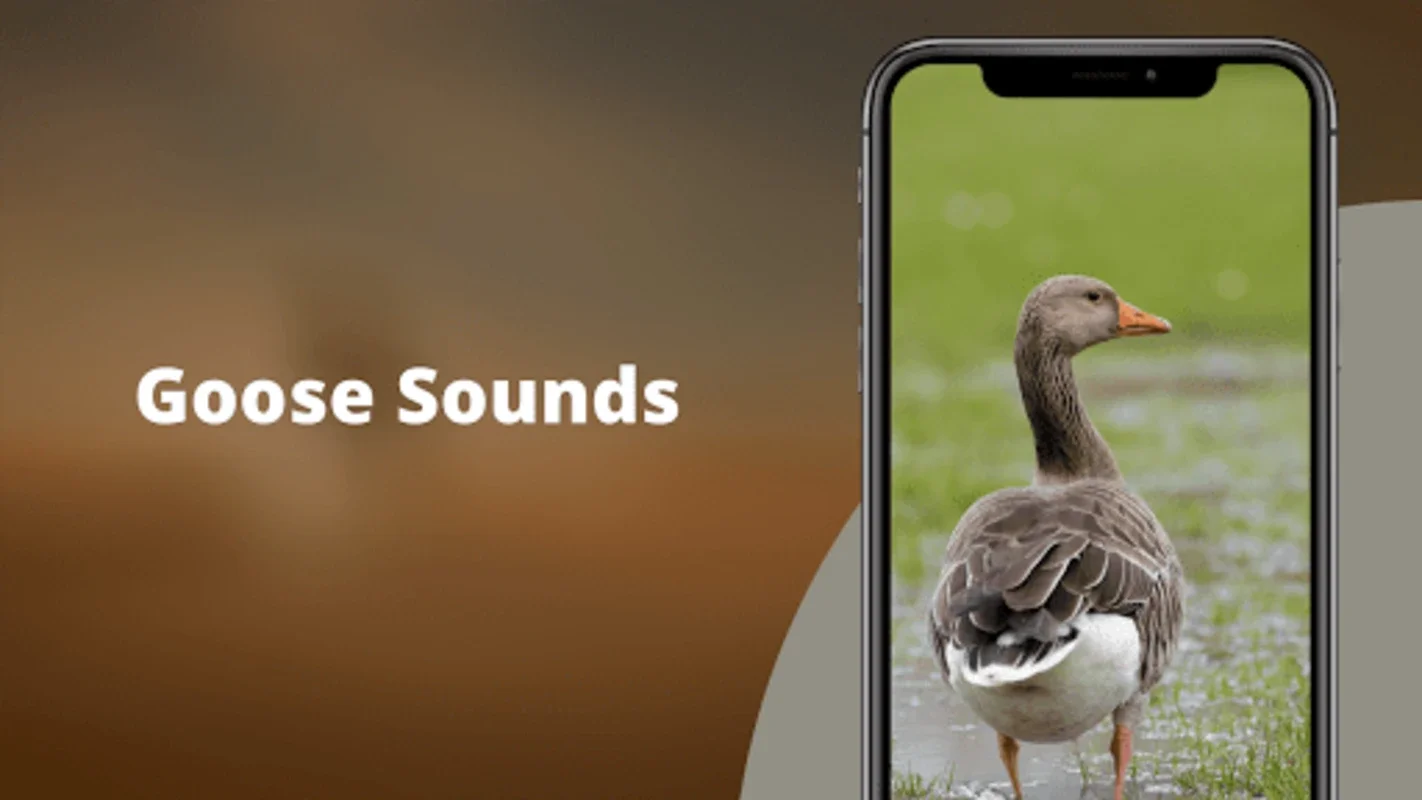 Goose Sounds & Hunting Calls for Android: Explore Geese Calls