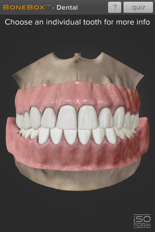 Dental - Lite for Android: 3D Tooth Learning