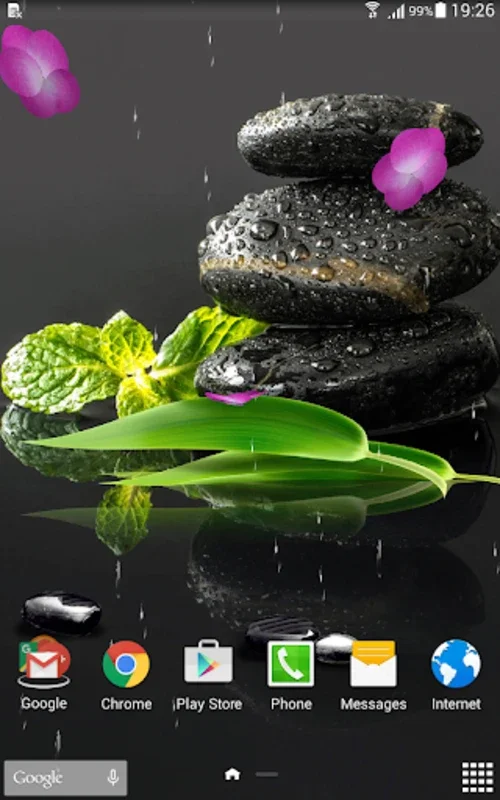 Garden Zen Live Wallpaper for Android - Serene Escape