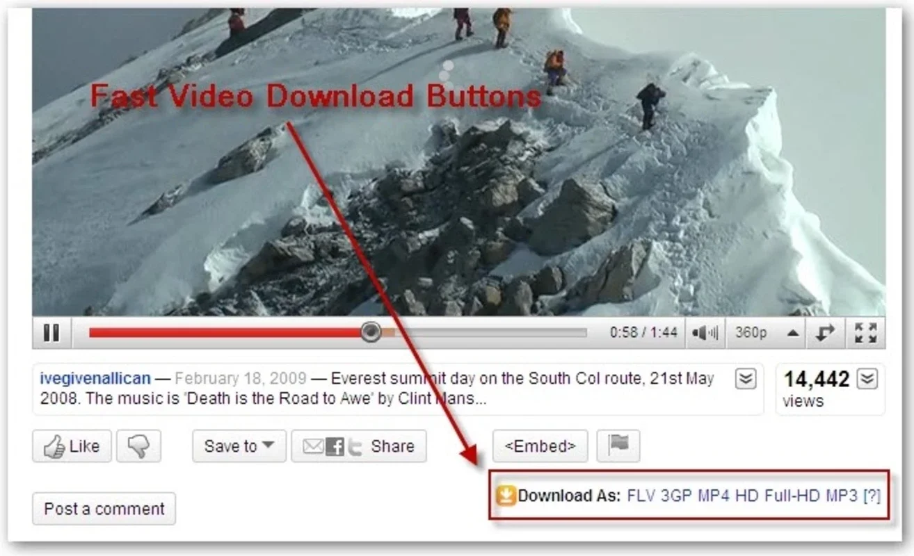 Easy Youtube Video Downloader for Windows - Seamless Video Downloads