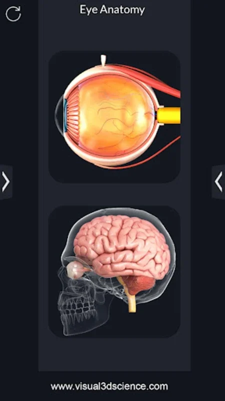 My Eye Anatomy for Android: Immersive 3D Learning