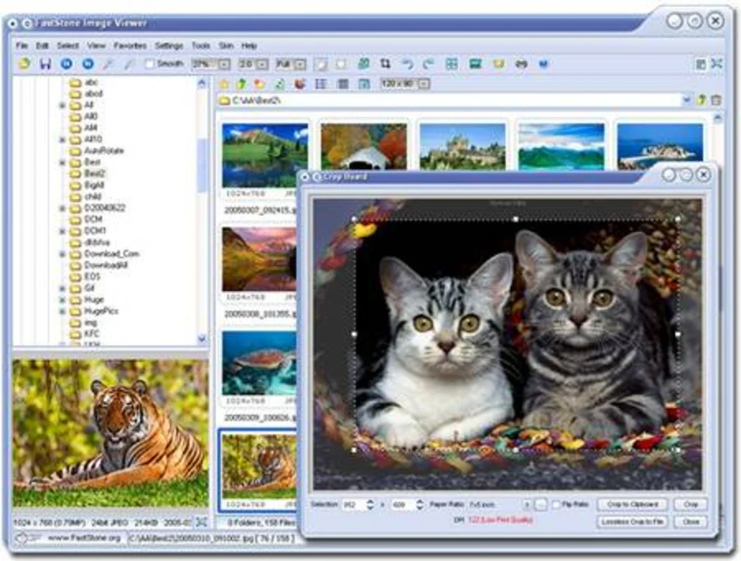 FastStone Image Viewer for Windows - Free Download